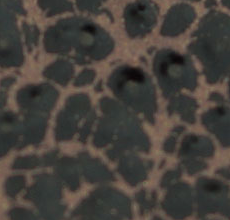 Copper Vein
