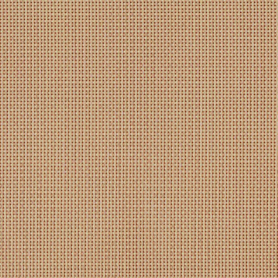 F2-206 Camel 2x2