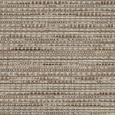FP-111 Fusion Maple