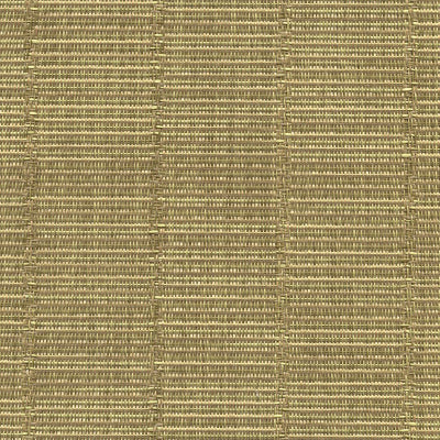 FP-113 Raffia Natural