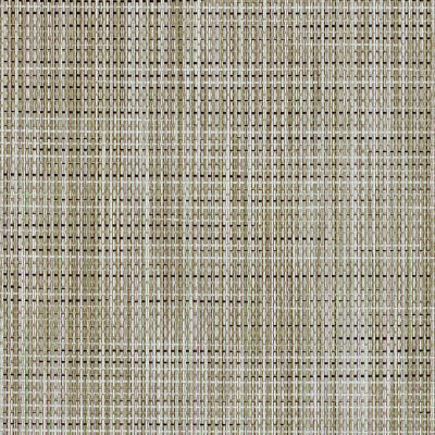 FS-019 Birch Forest