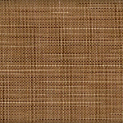 FS-027 Honey