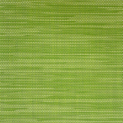 FS-035 Greenlake Sling Fabric Swatch