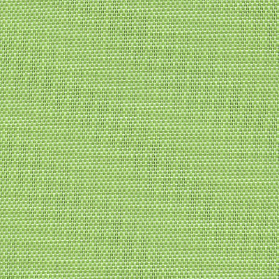 FS-091 Citron Sling Fabric Swatch