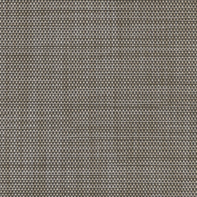 FS-095 Mica Pearl