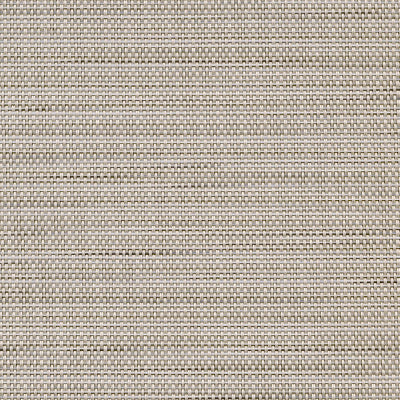 FS-097 Madras Tweed Putty