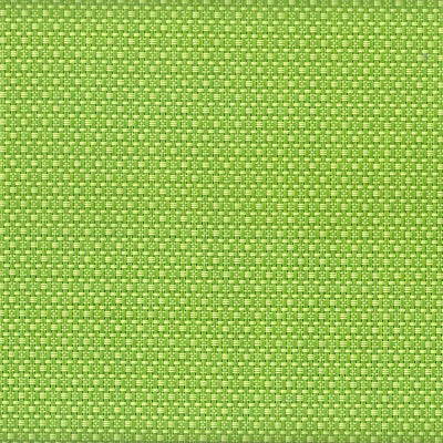 FX-465 Key Lime Sling Fabric Swatch
